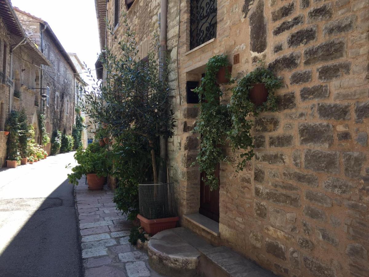 Incantevole In Pieno Centro Storico *